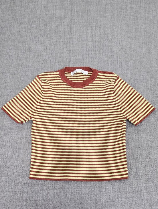 Zara Tops - Zara Short Sleeve Striped Stretch Brown Cropped Style Top. Medium